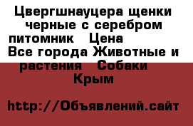 Цвергшнауцера щенки черные с серебром питомник › Цена ­ 30 000 - Все города Животные и растения » Собаки   . Крым